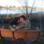 Ginny M Morris's profile image