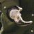 Full Arm Caster's profile image
