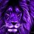 Neal Anderson's profile image