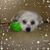Debbie Reed's profile image