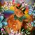 Mary Ann Squire's profile image
