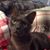 Jennifer Bramlette's profile image