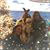 Kathi Bohannan's profile image