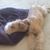 Sally Eskew's profile image