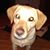 Shirley Bower's profile image