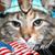 Tonya Walker Bogaards's profile image