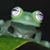 Emilee Jones's profile image
