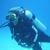 Marlena Van Dame's profile image