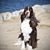 Joan Rollins's profile image