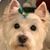 Damaris Torres Mendez's profile image