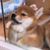David Evenson's profile image