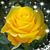 Elaine Boothe's profile image