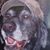 Bruce Huempfner's profile image