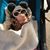 Cathey Ray Sharpe's profile image