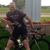 Brian Friend's profile image
