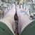 Tracey Fox's profile image