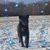 Nichole Tomaszewski's profile image