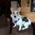 Cheryl Miller Moore Gilmore's profile image