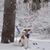 Nancy Davis Sturm's profile image