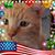 Lindy AndPumpkin's profile image