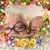 Lori Ableman's profile image