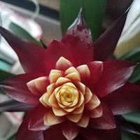 Sue Timm's profile image