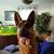 Tabatha Lynn's profile image