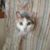 Scotty Lombardo's profile image