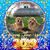 Linda Sandwell's profile image
