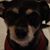Gary Lewis Ross's profile image