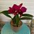 Kathy Boehm's profile image