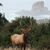 William Mount's profile image