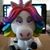 Sue Duenn's profile image