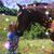 Kelly DeHart's profile image