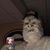 Matt Wucher's profile image