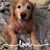 Lisa Paschall Jack's profile image