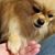 Jasmine Croy's profile image