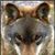 Mirtha Druck Meric's profile image