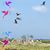 Elizabeth Lawrence Rapp's profile image