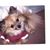 Marcia Bond Bowdoin's profile image