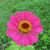 Carolyn Sprague's profile image