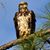 Bejay Rouse's profile image