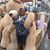 Terah Dorsey's profile image