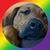 Clive Bransby's profile image