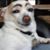 Cristian EB's profile image