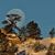 Bob Lake's profile image