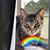 Michelle Buck's profile image