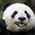 Kevin Chan's profile image