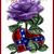 Tina Helm's profile image