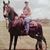Cathe Deloney's profile image